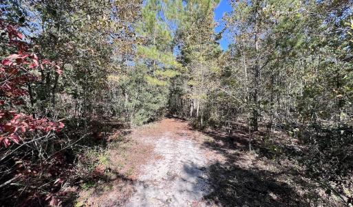Photo #28 of Off Bay Bush Road, Vanceboro, NC 62.0 acres