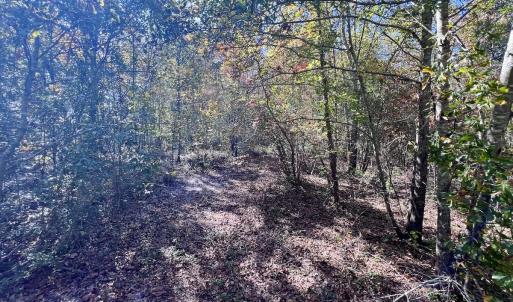 Photo #29 of Off Bay Bush Road, Vanceboro, NC 62.0 acres