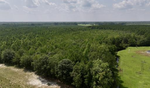 Photo #11 of SOLD property in Off River Road, Vanceboro, NC 66.0 acres