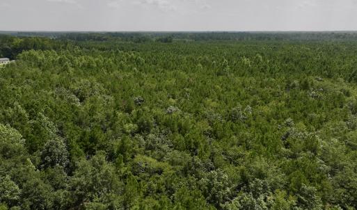 Photo #12 of SOLD property in Off River Road, Vanceboro, NC 66.0 acres