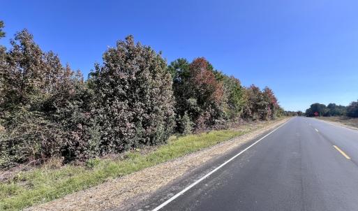 Photo #17 of SOLD property in Off River Road, Vanceboro, NC 66.0 acres
