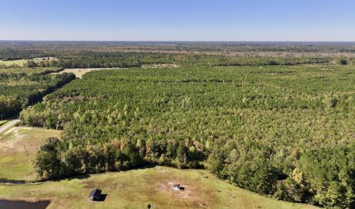 Photo #2 of SOLD property in Off River Road, Vanceboro, NC 66.0 acres