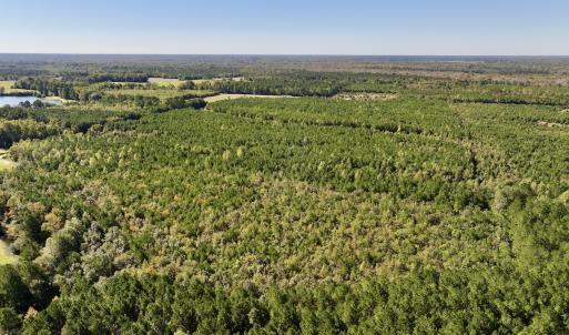 Photo #3 of SOLD property in Off River Road, Vanceboro, NC 66.0 acres