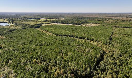 Photo #4 of SOLD property in Off River Road, Vanceboro, NC 66.0 acres