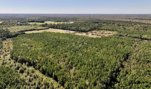 Photo #5 of SOLD property in Off River Road, Vanceboro, NC 66.0 acres