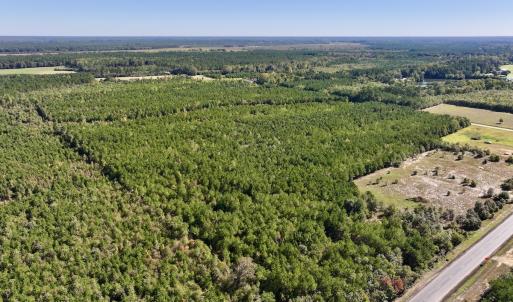 Photo #6 of SOLD property in Off River Road, Vanceboro, NC 66.0 acres