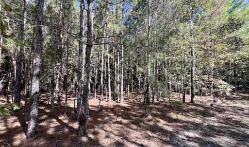 Photo #21 of SOLD property in Off River Road, Vanceboro, NC 66.0 acres