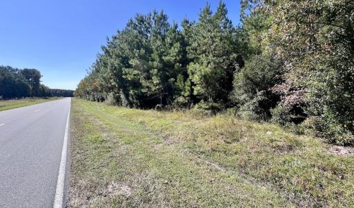 Photo #23 of SOLD property in Off River Road, Vanceboro, NC 66.0 acres