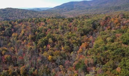 Photo #2 of Off  Bull Mountain Road, Patrick , VA 88.0 acres