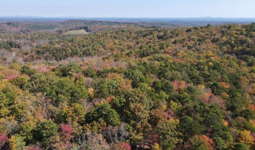 Photo #10 of Off  Bull Mountain Road, Patrick , VA 88.0 acres