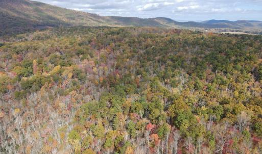 Photo #11 of Off  Bull Mountain Road, Patrick , VA 88.0 acres
