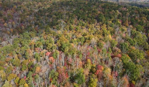 Photo #12 of Off  Bull Mountain Road, Patrick , VA 88.0 acres