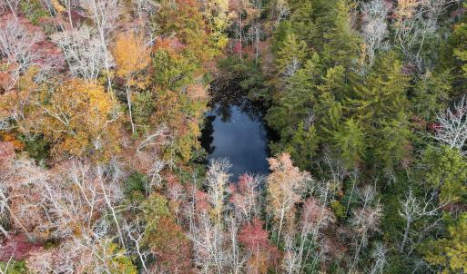 Photo #13 of Off  Bull Mountain Road, Patrick , VA 88.0 acres