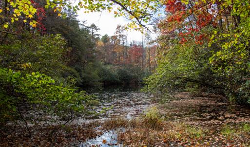 Photo #14 of Off  Bull Mountain Road, Patrick , VA 88.0 acres