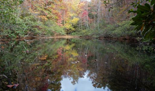 Photo #15 of Off  Bull Mountain Road, Patrick , VA 88.0 acres