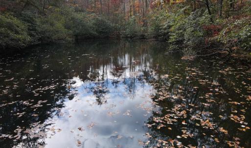 Photo #16 of Off  Bull Mountain Road, Patrick , VA 88.0 acres