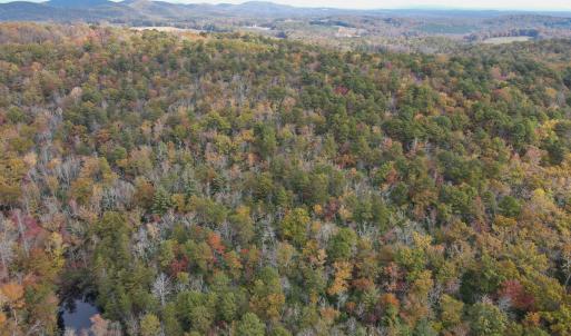 Photo #17 of Off  Bull Mountain Road, Patrick , VA 88.0 acres