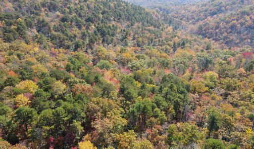 Photo #18 of Off  Bull Mountain Road, Patrick , VA 88.0 acres