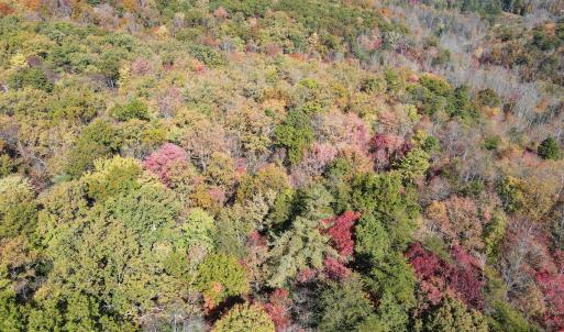 Photo #19 of Off  Bull Mountain Road, Patrick , VA 88.0 acres