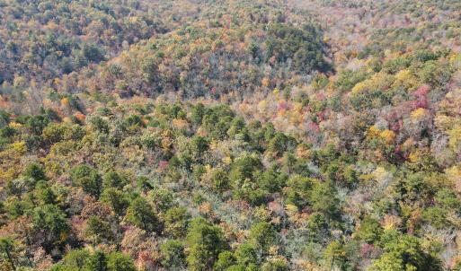 Photo #20 of Off  Bull Mountain Road, Patrick , VA 88.0 acres