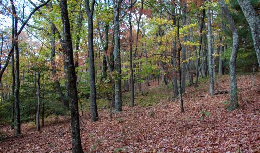 Photo #22 of Off  Bull Mountain Road, Patrick , VA 88.0 acres