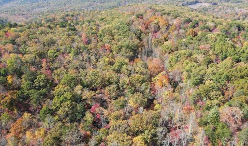 Photo #24 of Off  Bull Mountain Road, Patrick , VA 88.0 acres