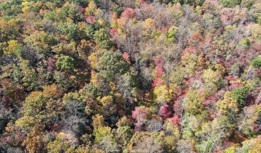 Photo #25 of Off  Bull Mountain Road, Patrick , VA 88.0 acres