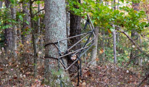 Photo #26 of Off  Bull Mountain Road, Patrick , VA 88.0 acres