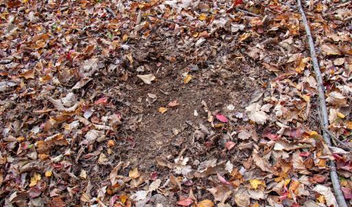 Photo #27 of Off  Bull Mountain Road, Patrick , VA 88.0 acres