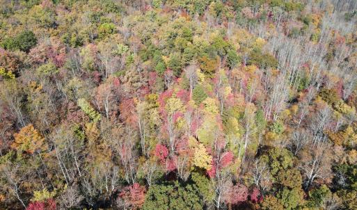 Photo #30 of Off  Bull Mountain Road, Patrick , VA 88.0 acres