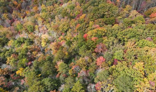 Photo #32 of Off  Bull Mountain Road, Patrick , VA 88.0 acres