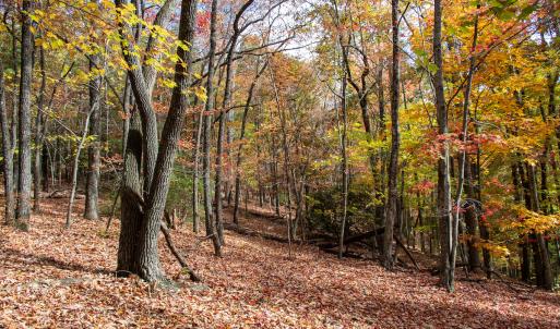 Photo #34 of Off  Bull Mountain Road, Patrick , VA 88.0 acres