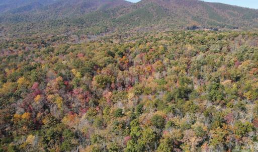 Photo #4 of Off  Bull Mountain Road, Patrick , VA 88.0 acres