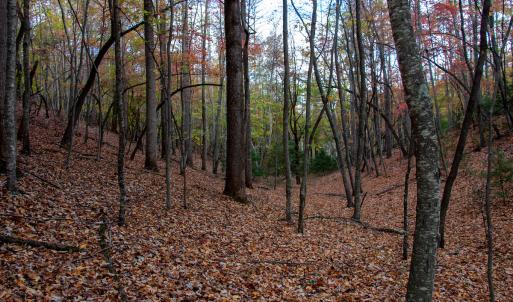 Photo #7 of Off  Bull Mountain Road, Patrick , VA 88.0 acres
