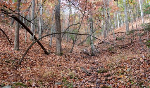 Photo #9 of Off  Bull Mountain Road, Patrick , VA 88.0 acres