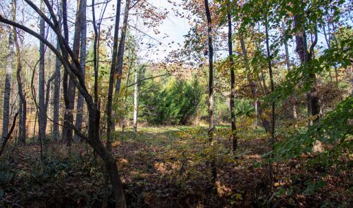 Photo #10 of SOLD property in Off Merricks Drive, Callands, VA 7.6 acres