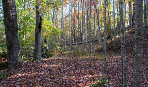 Photo #11 of SOLD property in Off Merricks Drive, Callands, VA 7.6 acres