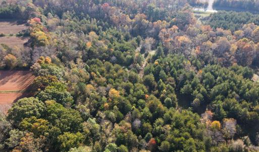 Photo #13 of SOLD property in Off Merricks Drive, Callands, VA 7.6 acres