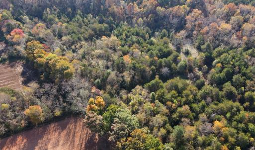Photo #14 of SOLD property in Off Merricks Drive, Callands, VA 7.6 acres