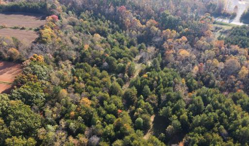 Photo #15 of SOLD property in Off Merricks Drive, Callands, VA 7.6 acres
