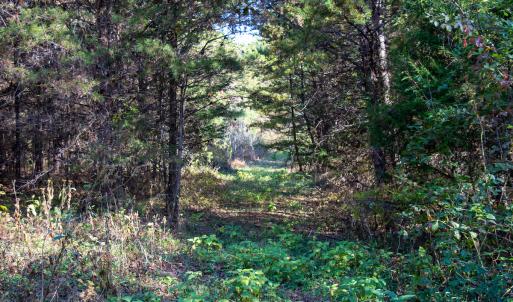 Photo #17 of SOLD property in Off Merricks Drive, Callands, VA 7.6 acres