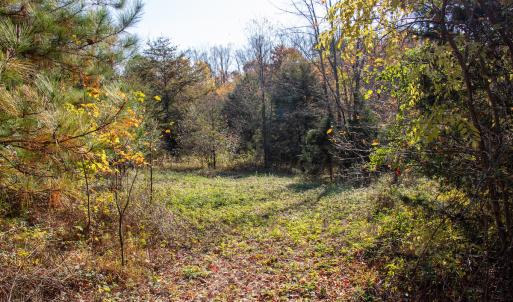 Photo #18 of SOLD property in Off Merricks Drive, Callands, VA 7.6 acres