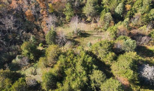 Photo #20 of SOLD property in Off Merricks Drive, Callands, VA 7.6 acres