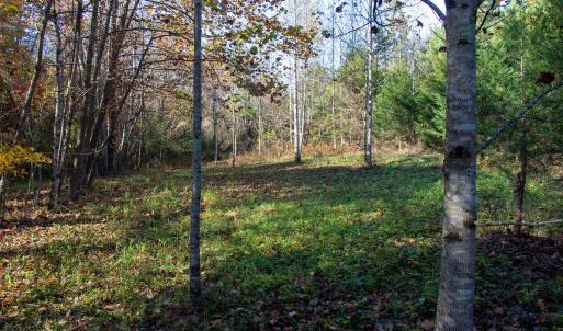 Photo #4 of SOLD property in Off Merricks Drive, Callands, VA 7.6 acres