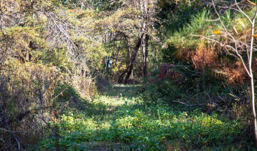 Photo #5 of SOLD property in Off Merricks Drive, Callands, VA 7.6 acres