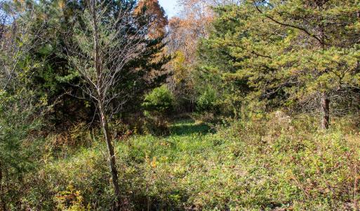 Photo #6 of SOLD property in Off Merricks Drive, Callands, VA 7.6 acres