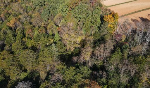Photo #7 of SOLD property in Off Merricks Drive, Callands, VA 7.6 acres