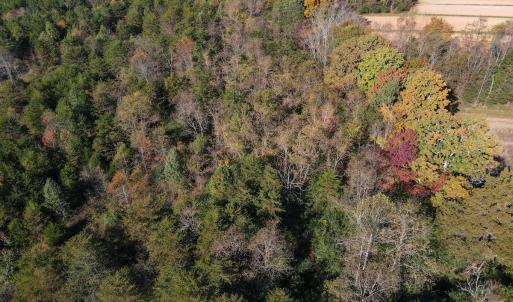 Photo #8 of SOLD property in Off Merricks Drive, Callands, VA 7.6 acres