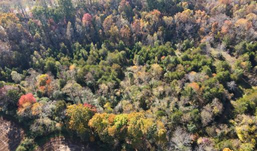 Photo #9 of SOLD property in Off Merricks Drive, Callands, VA 7.6 acres