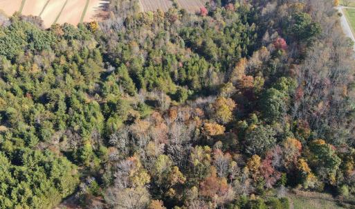 Photo #21 of SOLD property in Off Merricks Drive, Callands, VA 7.6 acres